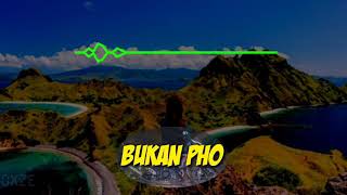 Download lagu Bukan PHO - New Remix TIKTOK [ DXZE ] mp3