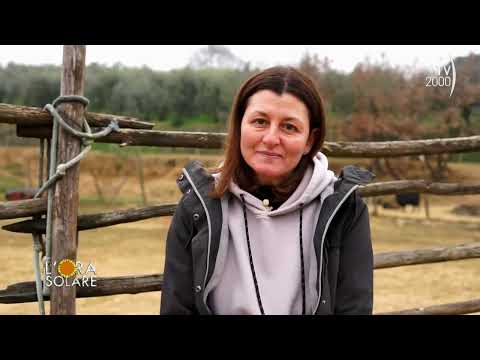 L'Ora Solare (TV2000) - Lascia la toga per una fattoria