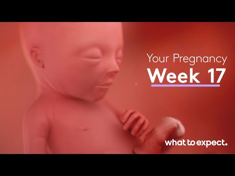 Mother-Baby developments this week (week 17)
