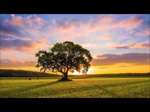 Восхитительная мелодия нежной любви!!! Послушайте! Мир на двоих...