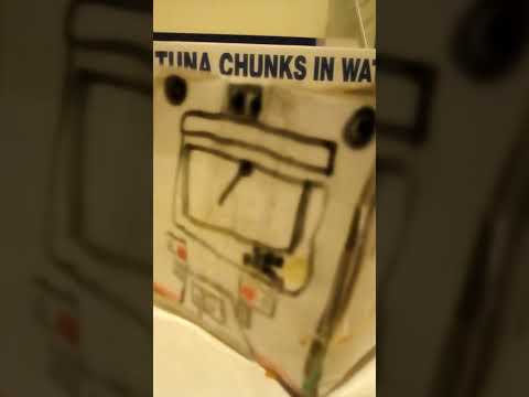 Transwa Australind train read description