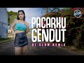 Pacarku Gendut DJ Goyang Goyang Tata Julita