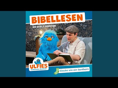 Teil 2 - Glaube wie ein Senfkorn