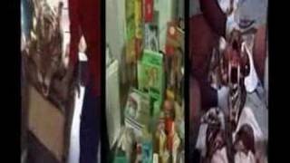 Minnie Driver tiger saver