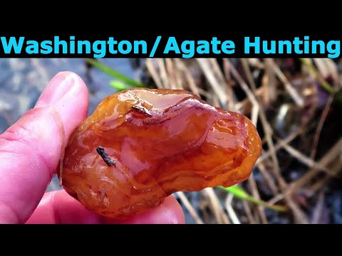 Agates Washington