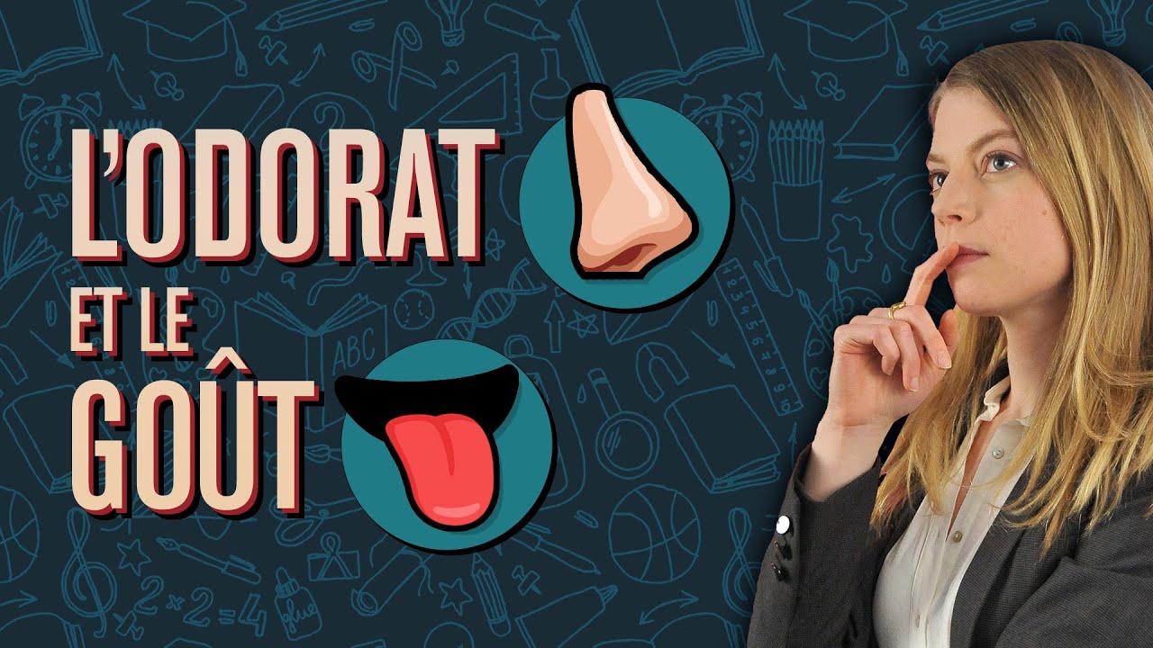 L'odorat et le goût - Réviser et comprendre la biologie, avec Cap'taine Snap