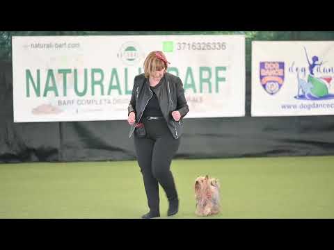 FS0 Loredana Benedetti e Iris  7°CSEN Italian open 2023