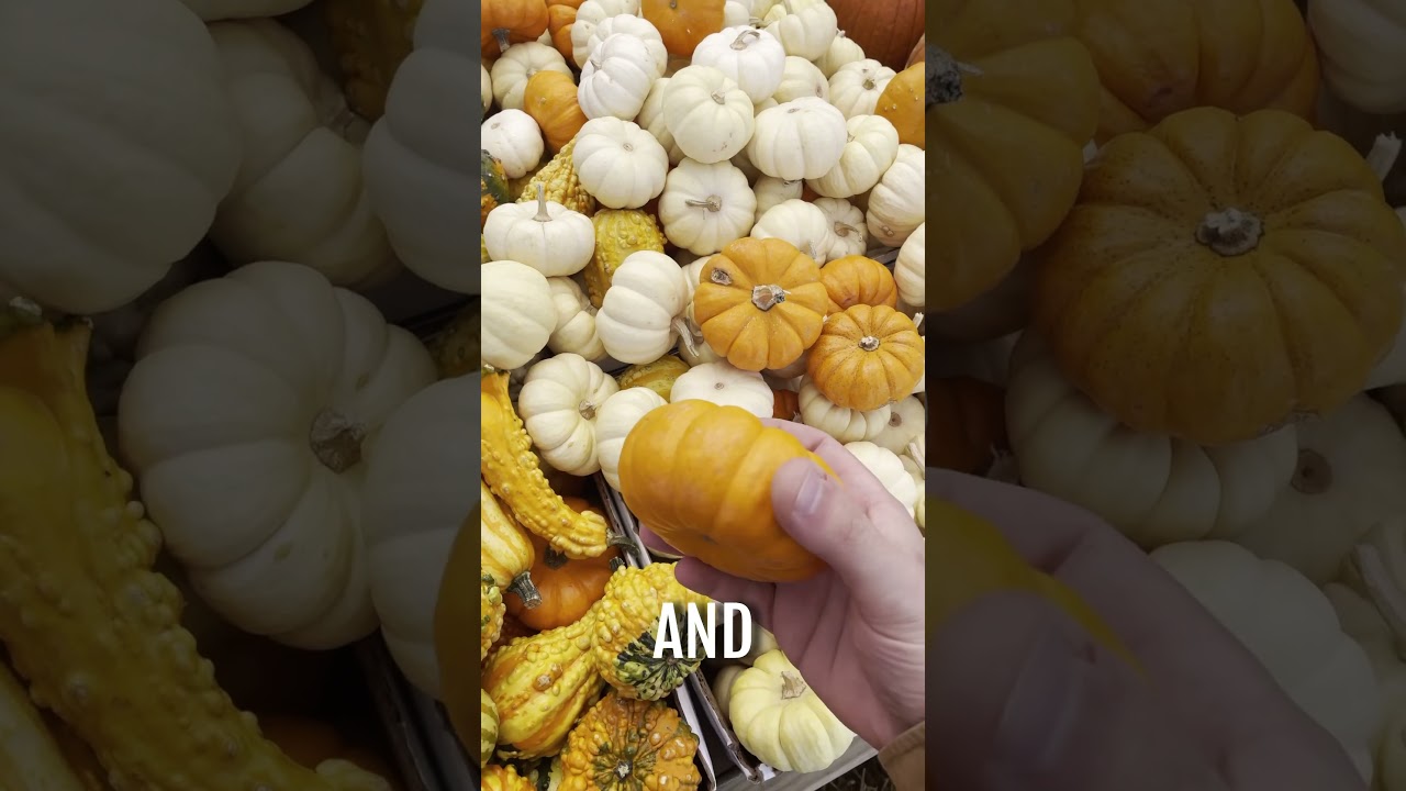 Carving a Tiny Jack-o-lantern