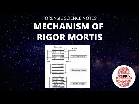 Mechanism of rigor mortis | Forensic medicine | Forensic science notes