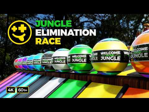 *NEW* Jungle Elimination Race  | #marbles #marblerun #marblerace #asmr #sensory