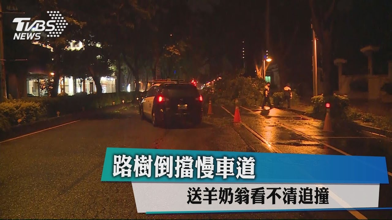 路樹倒擋慢車道 送羊奶翁看不清追撞