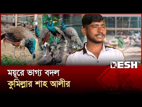 ময়ূরের খামার করে ভাগ্য বদল কুমিল্লার শাহ আলীর | Peacock Farm | Cumilla | Desh TV