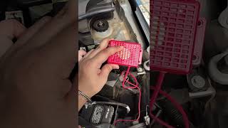 How to remove RATS from your CAR INSTANTLY🐭 CARCAT RAT repellent Review | HONDA Amaze 2023