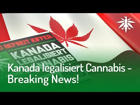Kanada legalisiert Cannabis - Breaking News! | DHV-News #170