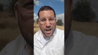 בריכת בית קשתות במרכז הארץ שאף אחד לא מכיר