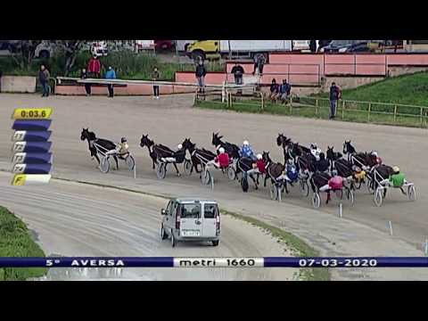 Aversa trotto 7 Marzo 2020 - 5° Corsa