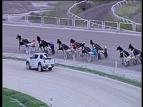 Trotto 08/11/2019 - 5ª corsa