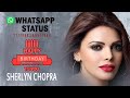 Sherlyn Chopra Status Birthday Sherlyn Chopra New Look Whatsapp Video Javed Hashmi
