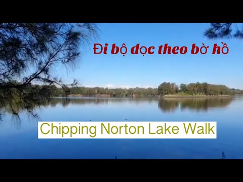 🇦🇺Sydney Walk/ Chipping Norton Lake Walk/ Đi bộ dọc theo bờ hồ