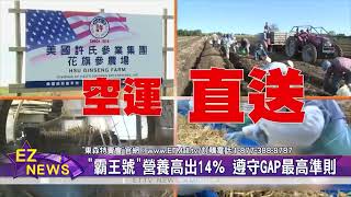 Download the video "許氏奪銷售雙冠王 新推出"霸王號新鮮花旗參" 營養比一般乾參高出14％"