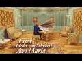 Franz Liszt - 12 Lieder von Schubert - Ave Maria [Concert Creator]