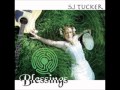 Witch's Rune (S.J. Tucker - Blessings) 