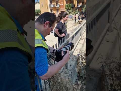 Colpisci uno, rispondono tutti - alluvione in Emilia Romagna edition