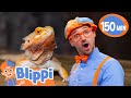 What Reptile Friends Will Blippi Meet Fun And Educational Adventures For Kids