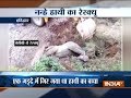 Baby elephant rescued from ditch in Haridwar