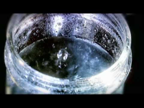 Bunarma - Fotosintesi (Official Video)