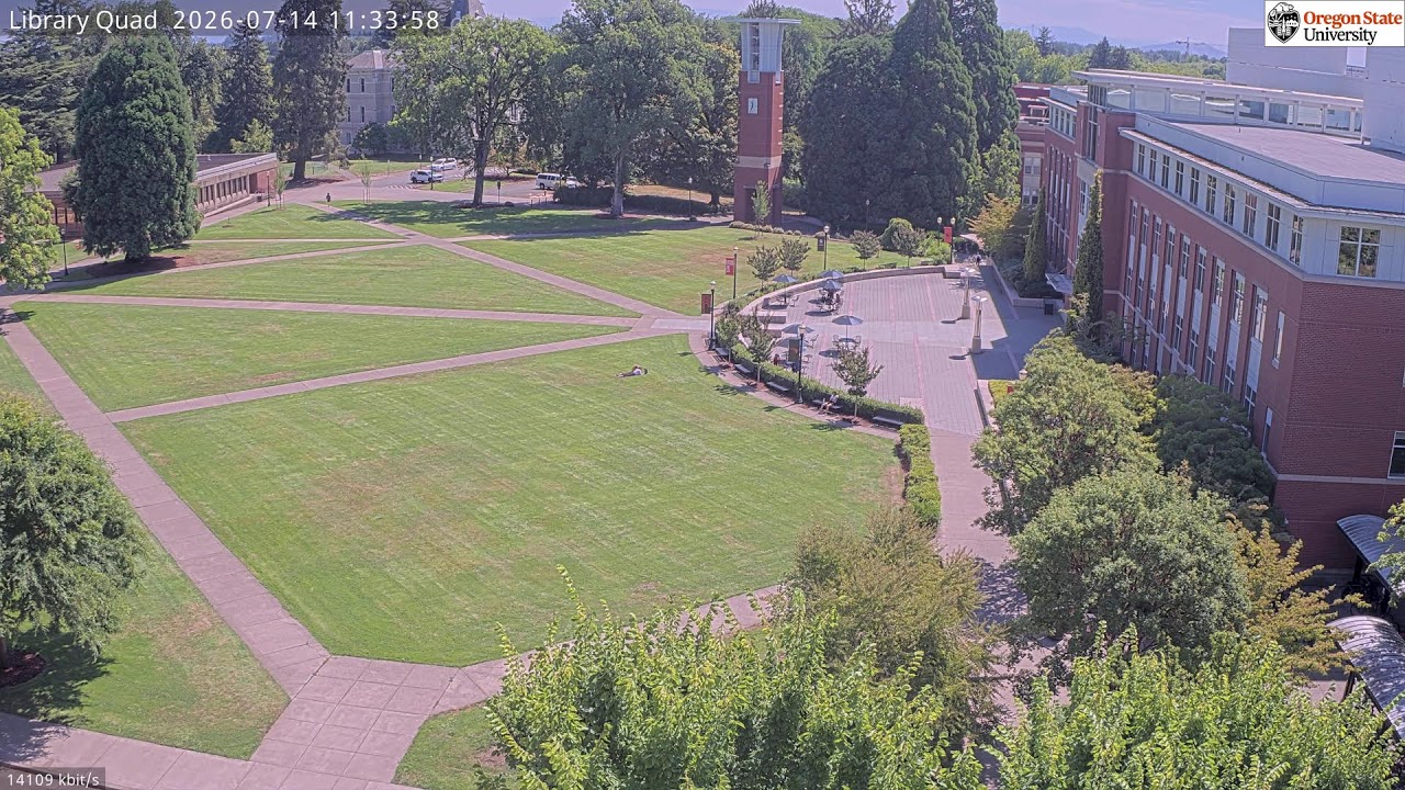 Live webcam view of Quad de la Biblioteca Valley