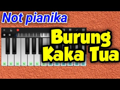 Not pianika Burung Kaka Tua Mudah