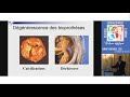 Thierry Langanay Rennes Chirurgie
