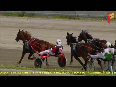 II Corsa del 24 Aprile 2022 - 5 Anni ed oltre - Metri 2000