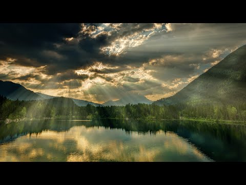 Piku Sarod Theme (Loop)