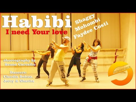 Habibi (I need Your love) - Shaggy Mohombi Faydee Costi