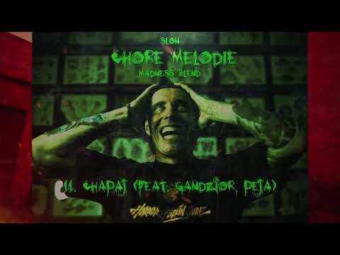 Słoń - Chapaj (feat. Gandzior x Peja) | Madness Blend