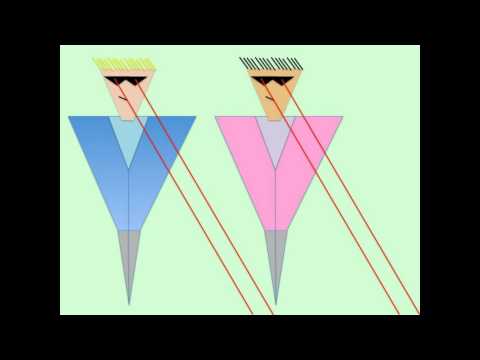 Pachanga Boys - Legs