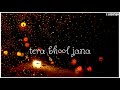 Jane Wale Laut Ke Tu Aaya Kyu Nahi Whatsapp Status Video