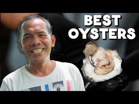 How the Best Oysters Are Grown in the Philippines