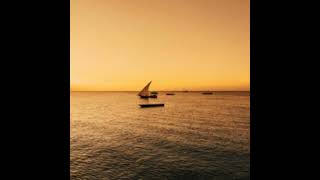 The Best Beach Safaris in Africa