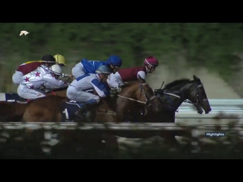 7th Race Meeting of Season 2018/2019