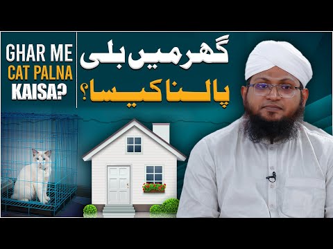 Ghar Mein Billi Palna Kaisa Hai? | Cat Palna In Islam | Janwar Palna Kaisa? | Darulifta Ahlesunnat