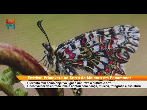 Festival Primavera na Serra da Malcata