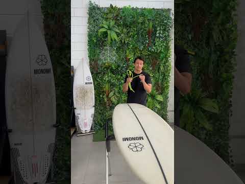 O que você precisa para começar a surfar?