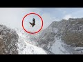 Stunning Juvenile Golden Eagle Flies Alongside Drone