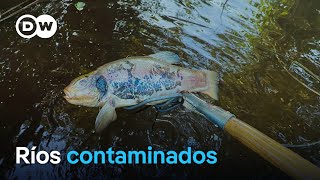Thumbnail del capítulo