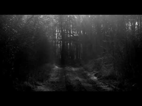 Razor Rekta - Taurus