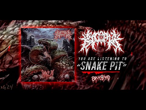 KROCOPHILE - SNAKE PIT (FT. MATS FUNDERUD) [OFFICIAL VISUALIZER] (2024) SW EXCLUSIVE