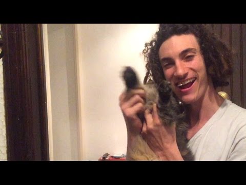 IM GOING TO SOUTH AFRICA